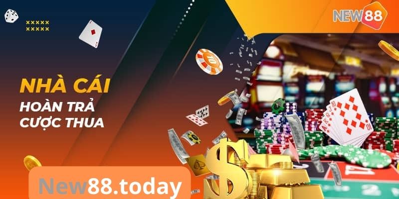 NEW88 có gì đặc biệt
