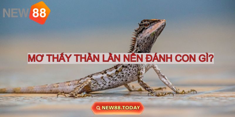 Nằm mơ thấy thằn lằn nên đánh con gì phát lộc? Nằm mơ thấy thằn lằn nên đánh con gì phát lộc?
