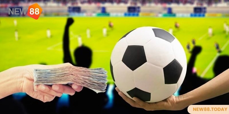 Top 4 mẹo cá cược bóng đá không bao giờ thua