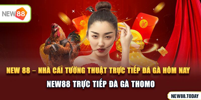 New 88 – Nhà cái tường thuật trực tiếp đá gà Campuchia hôm nay